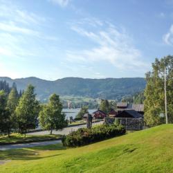 Morgedal 3 間有停車位的飯店