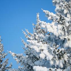 Stainach 3 apartments