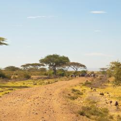 Kitale 48 hotels