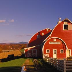 Castleton 11 vacation homes