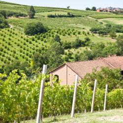 Moncalvo 5 pet-friendly hotels
