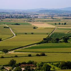 Bramsche 13 acomoda&ccedil;&otilde;es