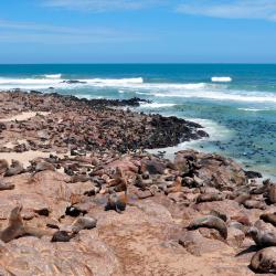 Hentiesbaai 8 cottages