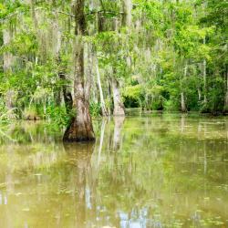 Thibodaux 3 hotels with pools