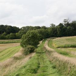 Meysey Hampton 1 hotel
