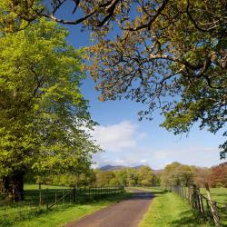 Moutier 3 hot&eacute;is que aceitam pets