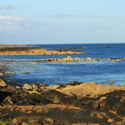 Spiddal 4 cottages