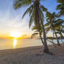 Naukacuvu Island