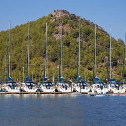 Hisarönü 5 pet-friendly hotels
