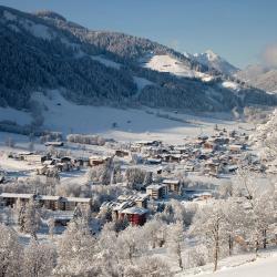 Niederau 61 vacation rentals
