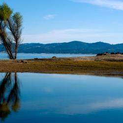 Rocklin 9 hotels