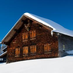 La Tania 55 hotels