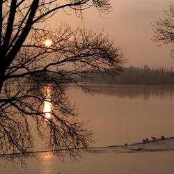 ミリベル 6軒のバケーションレンタル
