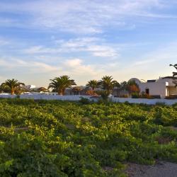 Agia Paraskevi 5 hotels