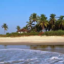 Benaulim 21 beach hotels