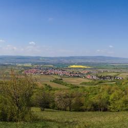 Gau-Algesheim 7 cheap hotels