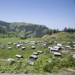 Artvin 3 pet-friendly hotels