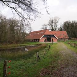 Balkbrug 8 cabanes i cottages