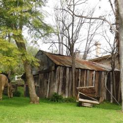 Wollombi 3 pet-friendly hotels
