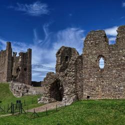 Brough 6 pet-friendly hotels