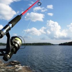 Villaharta 5 holiday rentals