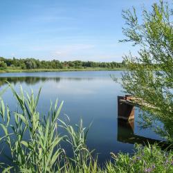 Sulęcin 9 allotjaments amb cuina