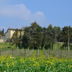 Sant' Alessio 6 accommodations