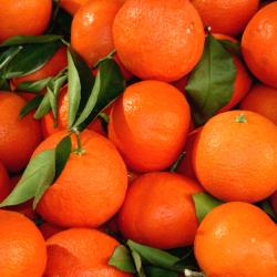 San Juan de Aznalfarache 4 family hotels