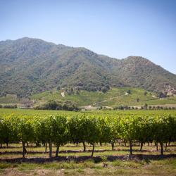 Curicó 6 holiday rentals