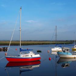 Irvine 9 guest houses