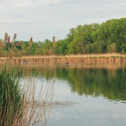 Fadd-Dombori 4 hot&eacute;is com estacionamento