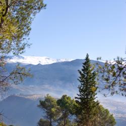 Pinos Genil 3 cabañas y casas de campo