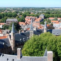 Liguster 8, Nieuwvliet (aktualisierte Preise fr 2026)