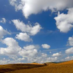 Olvega 3 kh&aacute;ch sạn th&acirc;n thiện với th&uacute; cưng