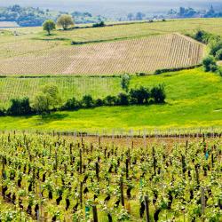 Couches 4 hotels with pools