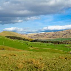 Kirk Yetholm 3 self catering accommodation