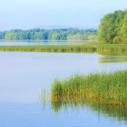 Vergennes 4 viešbučiai