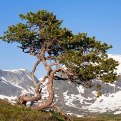 Alvdal 5 hot&eacute;is com estacionamento