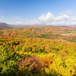 Fleischmanns 6 pet-friendly hotels