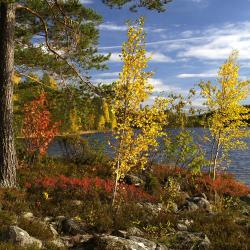 Alapitkä 2 hoteles