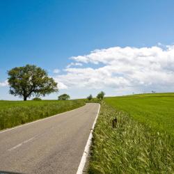 Ligneuville 3 hotels with parking