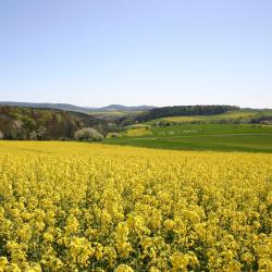 Gallspach 2 hoteles