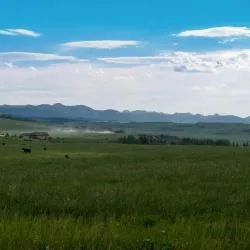 Priddis ホテル3軒