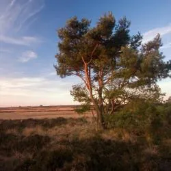 Wellerlooi 7 hotels