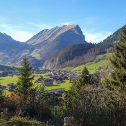 Schnepfau 3 cottages