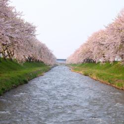 Yamatotakada 4 hotels with parking