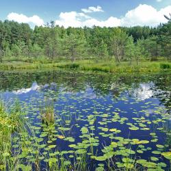 Крокова 3 пляжних помешкань для відпустки