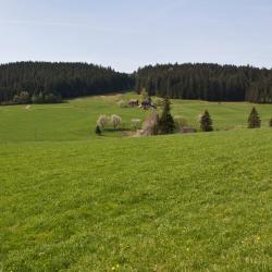 Holzhausen 3 hotels