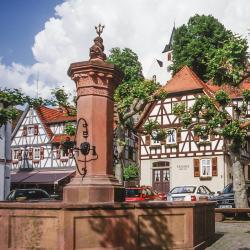 Zwingenberg 7 Familienhotels