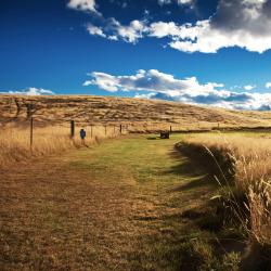 Temuka 3 motels